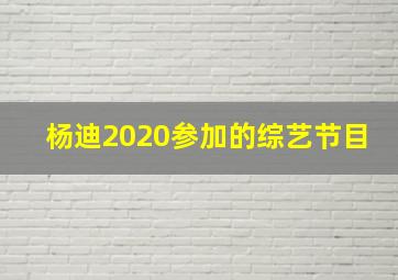 杨迪2020参加的综艺节目