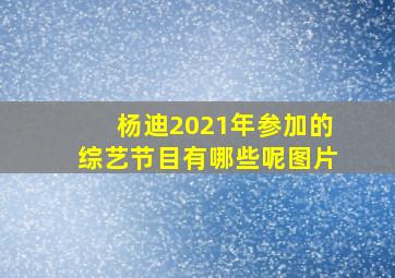 杨迪2021年参加的综艺节目有哪些呢图片