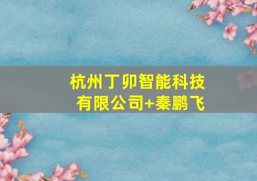 杭州丁卯智能科技有限公司+秦鹏飞