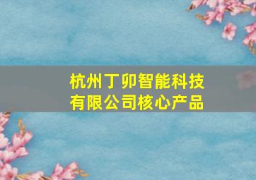 杭州丁卯智能科技有限公司核心产品