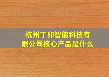 杭州丁卯智能科技有限公司核心产品是什么