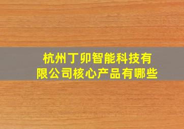 杭州丁卯智能科技有限公司核心产品有哪些