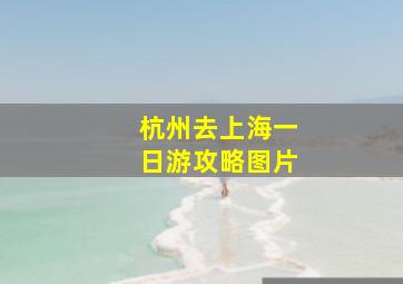 杭州去上海一日游攻略图片