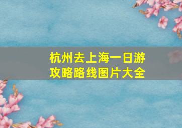 杭州去上海一日游攻略路线图片大全