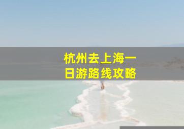 杭州去上海一日游路线攻略