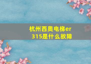 杭州西奥电梯er315是什么故障