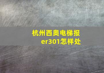 杭州西奥电梯报er301怎样处