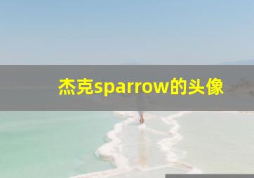 杰克sparrow的头像