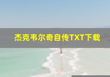 杰克韦尔奇自传TXT下载