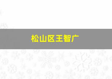 松山区王智广