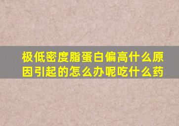 极低密度脂蛋白偏高什么原因引起的怎么办呢吃什么药