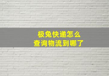 极兔快递怎么查询物流到哪了