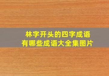 林字开头的四字成语有哪些成语大全集图片