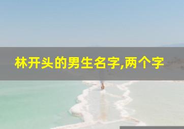 林开头的男生名字,两个字