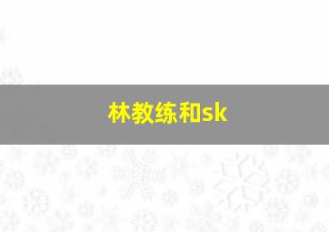 林教练和sk