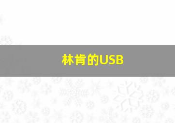 林肯的USB