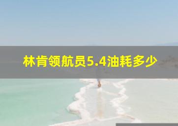 林肯领航员5.4油耗多少