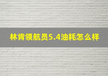 林肯领航员5.4油耗怎么样