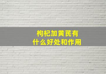 枸杞加黄芪有什么好处和作用