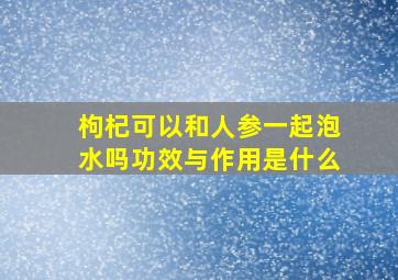 枸杞可以和人参一起泡水吗功效与作用是什么