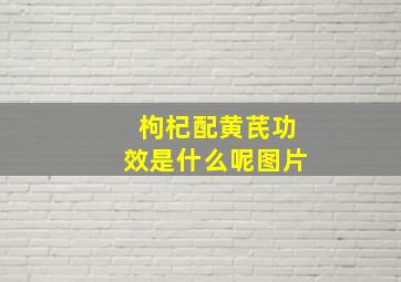 枸杞配黄芪功效是什么呢图片