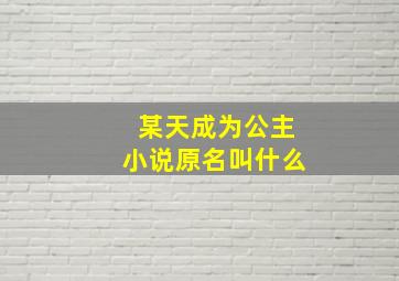 某天成为公主小说原名叫什么