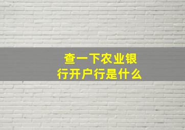 查一下农业银行开户行是什么