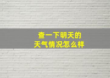 查一下明天的天气情况怎么样