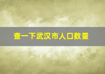 查一下武汉市人口数量