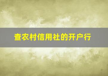 查农村信用社的开户行