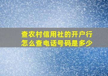 查农村信用社的开户行怎么查电话号码是多少