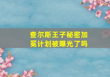 查尔斯王子秘密加冕计划被曝光了吗