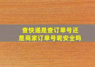 查快递是查订单号还是商家订单号呢安全吗