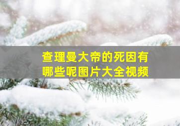 查理曼大帝的死因有哪些呢图片大全视频