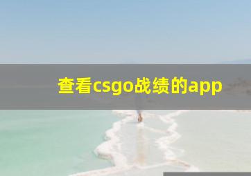 查看csgo战绩的app