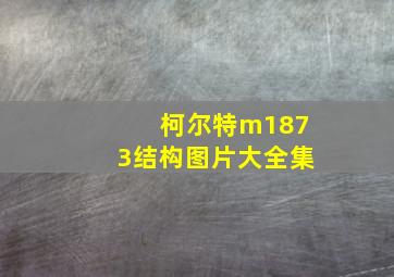 柯尔特m1873结构图片大全集