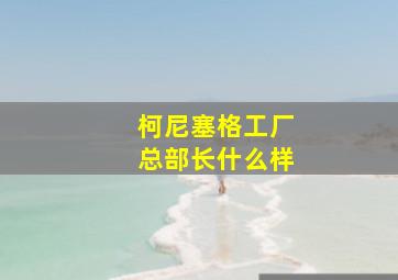 柯尼塞格工厂总部长什么样