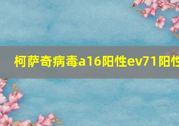 柯萨奇病毒a16阳性ev71阳性