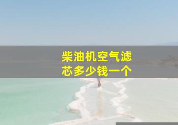 柴油机空气滤芯多少钱一个