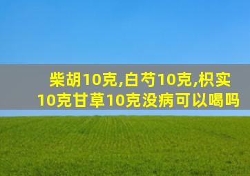 柴胡10克,白芍10克,枳实10克甘草10克没病可以喝吗