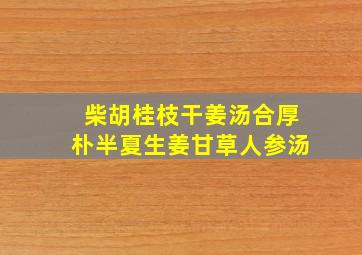 柴胡桂枝干姜汤合厚朴半夏生姜甘草人参汤