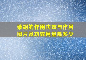 柴胡的作用功效与作用图片及功效用量是多少