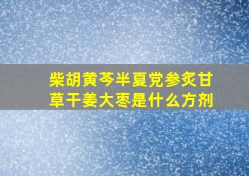 柴胡黄芩半夏党参炙甘草干姜大枣是什么方剂