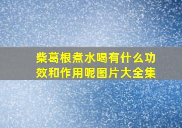 柴葛根煮水喝有什么功效和作用呢图片大全集