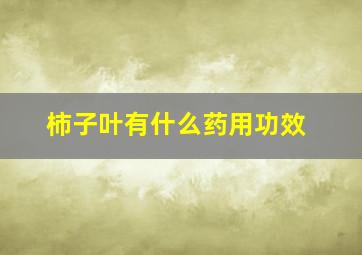 柿子叶有什么药用功效