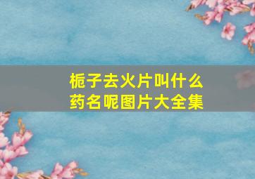 栀子去火片叫什么药名呢图片大全集