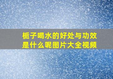 栀子喝水的好处与功效是什么呢图片大全视频