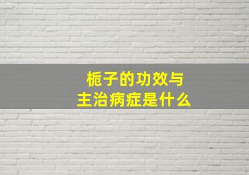 栀子的功效与主治病症是什么