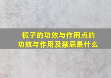 栀子的功效与作用点的功效与作用及禁忌是什么