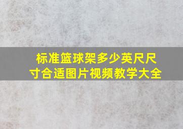 标准篮球架多少英尺尺寸合适图片视频教学大全